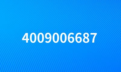 4009006687