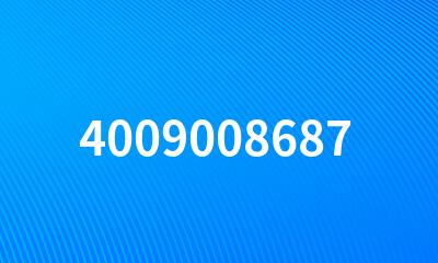 4009008687