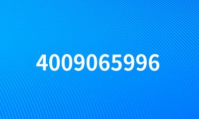 4009065996