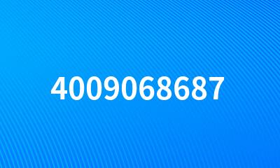 4009068687