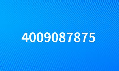 4009087875