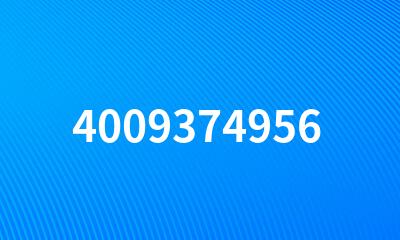 4009374956