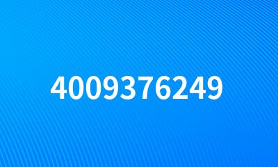 4009376249