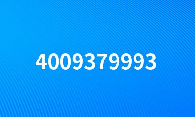 4009379993