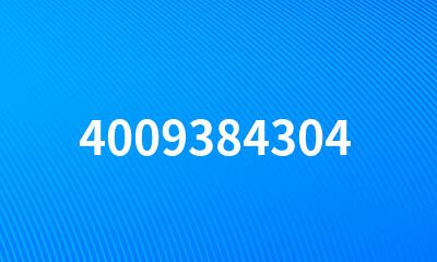 4009384304