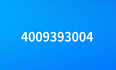 4009393004