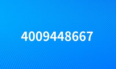 4009448667