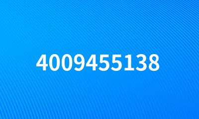 4009455138