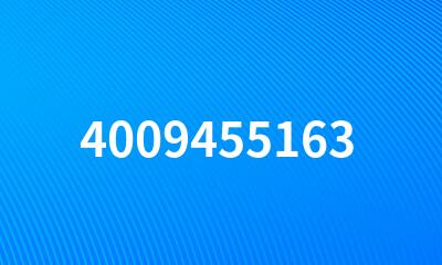 4009455163