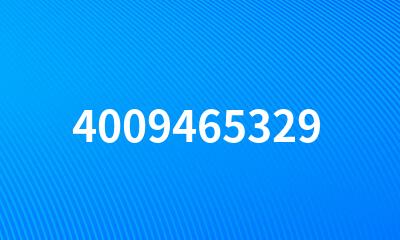 4009465329