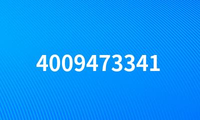 4009473341