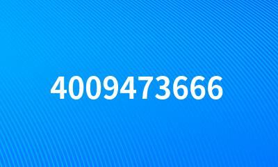 4009473666