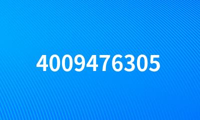 4009476305