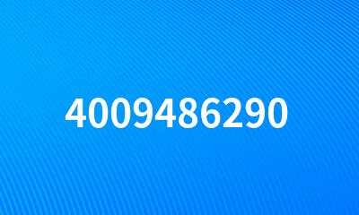 4009486290