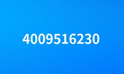 4009516230