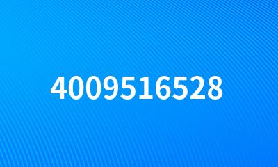 4009516528