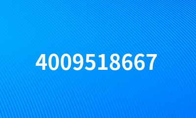 4009518667