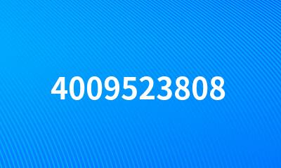 4009523808