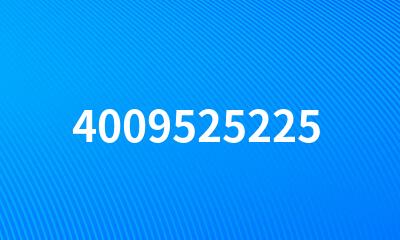 4009525225