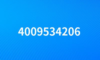 4009534206