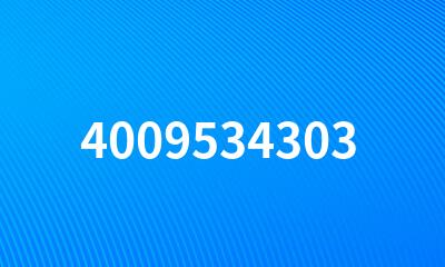 4009534303