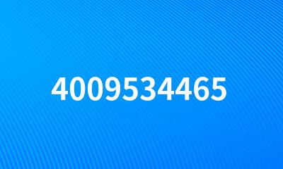 4009534465