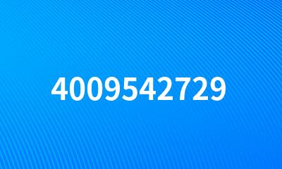 4009542729