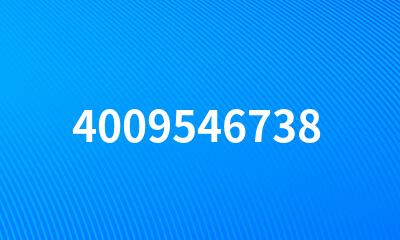 4009546738