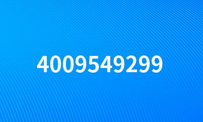 4009549299