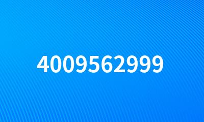 4009562999