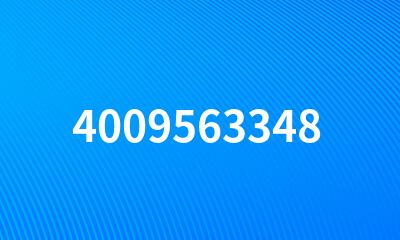 4009563348