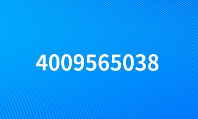 4009565038