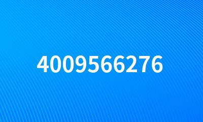 4009566276