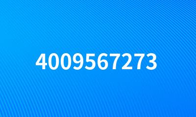 4009567273