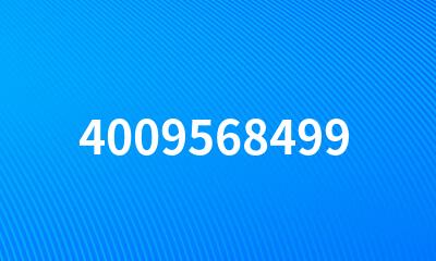 4009568499