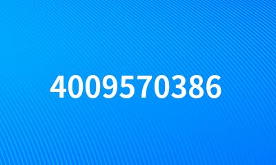 4009570386