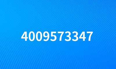 4009573347