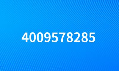 4009578285