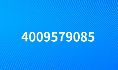 4009579085