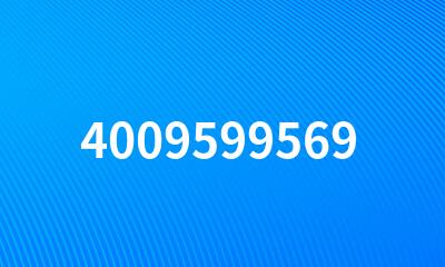 4009599569