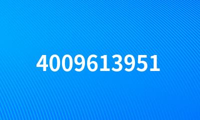 4009613951