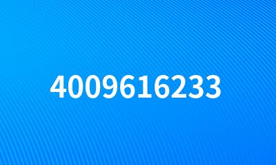 4009616233