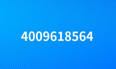 4009618564