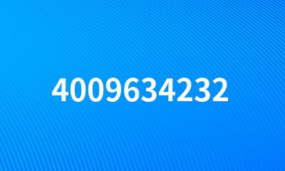 4009634232