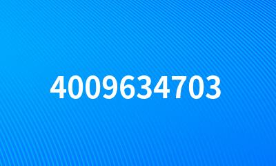 4009634703