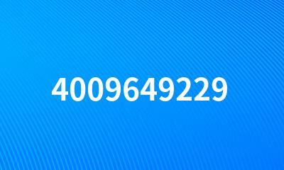 4009649229