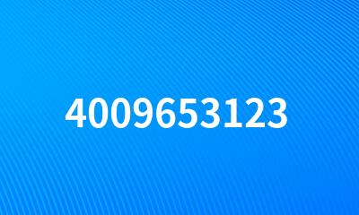 4009653123