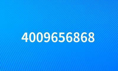 4009656868