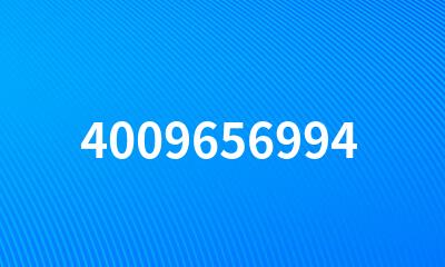 4009656994