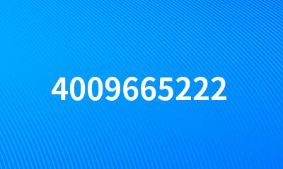 4009665222